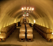 My Upcoming Winery Tour barrels