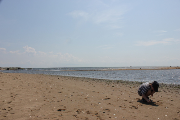 Wordless Wednesday: Treasure Hunting Wordless Wednesday: Treasure Hunting