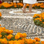 Songs That Stab Me in the Heart:  "Cannonball" by Damien Rice