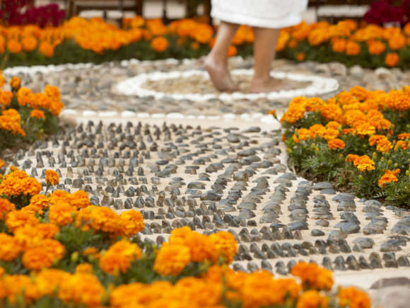 2.0_SpaReflexologyPath_800x600