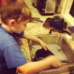 Wordless Wednesday: Next To Godliness