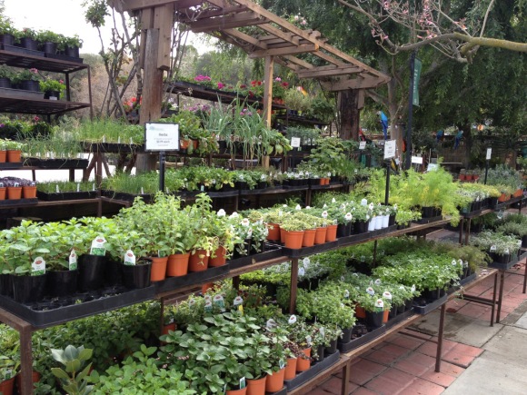 Wordless Wednesday: Over My Head Wordless Wednesday: Over My Head