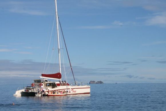 catamaran ocean
