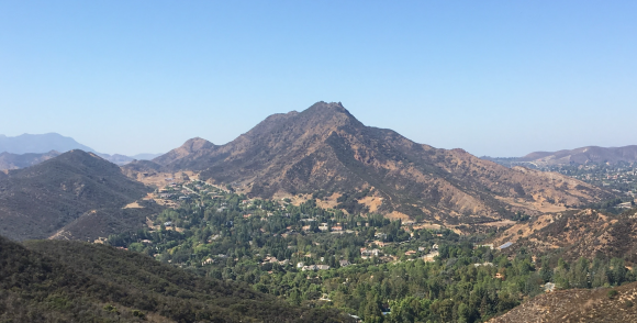 The Newest Year The Newest Year