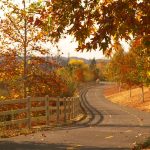 Valencia, The Other West Hills Paseo – Copy