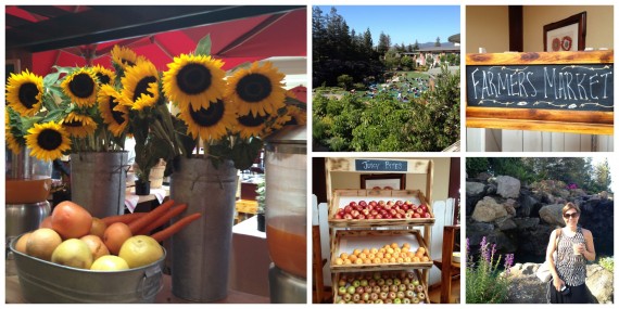 four seasons westlake village farmers market morning