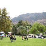 Easy Summer Challenge: Agoura Hills Parks IMG_7090_2