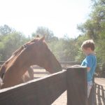 Old Agoura Park - aka "The Horse Park" IMG_8938