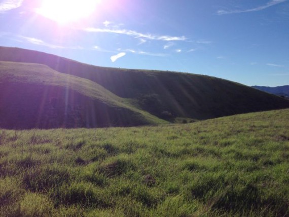 Hike of the Week: Palo Comado/Chesebro Canyon/Shepards' Flat Loop Hike of the Week: Palo Comado/Chesebro Canyon/Shepards' Flat Loop
