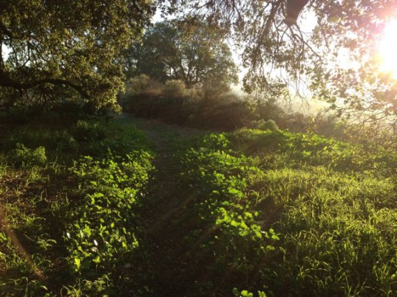 Hike of the Week: Skelton Canyon Trail Hike of the Week: Skelton Canyon Trail
