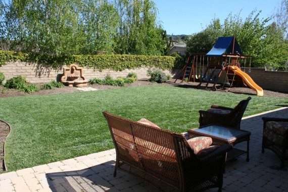 birches 2010 great shade trees