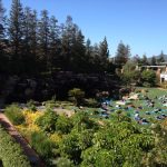 yoga four seasons
