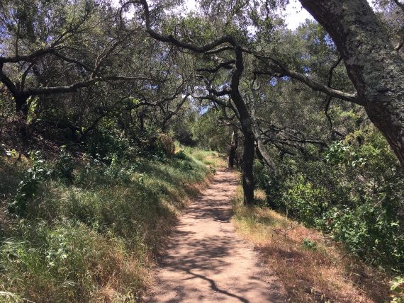 Mother's Day Hike: Nicholas Flat Mother's Day Hike: Nicholas Flat