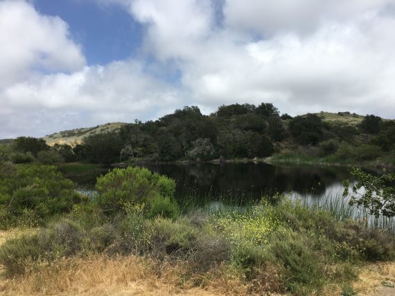 Nicholas Pond